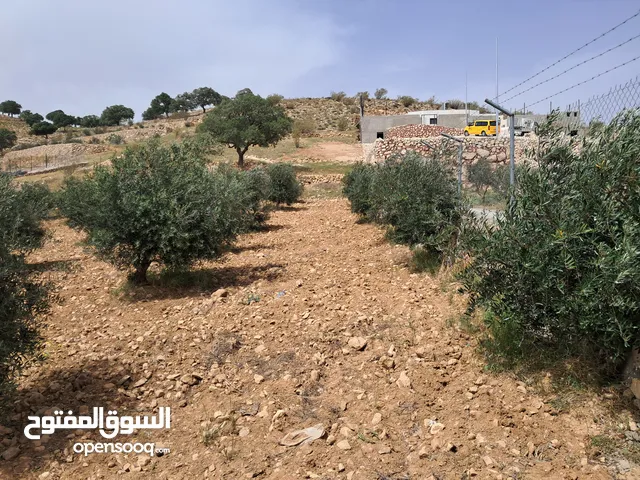 صروت بجانب بيرين مزرعه 4550 متر للبيع بجانب احراش الدوله . المليئه والمحاطه باشجار البلوط .والقصور