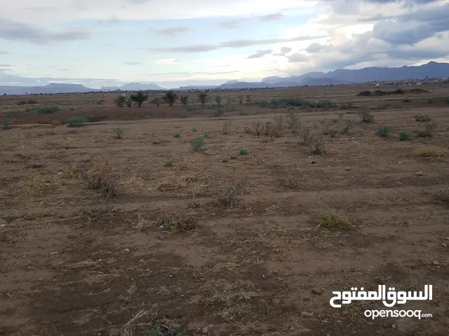 Residential Land for Sale in Sana'a Dahban