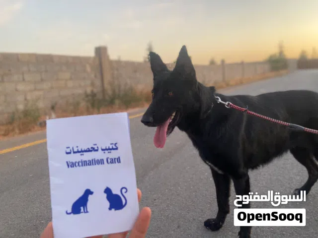 بيع او تبديل