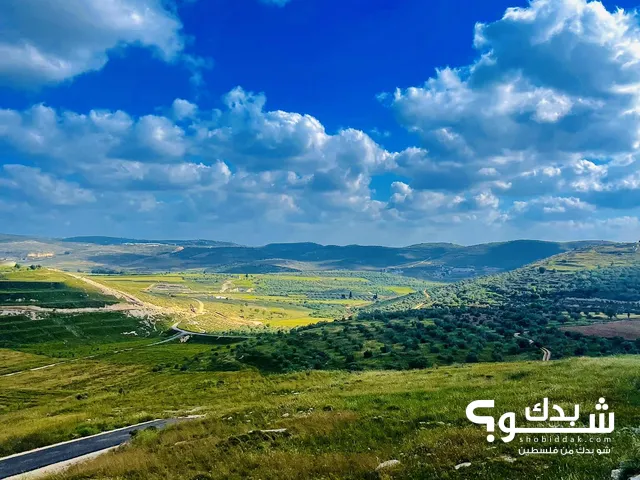 Commercial Land for Sale in Nablus Burqa