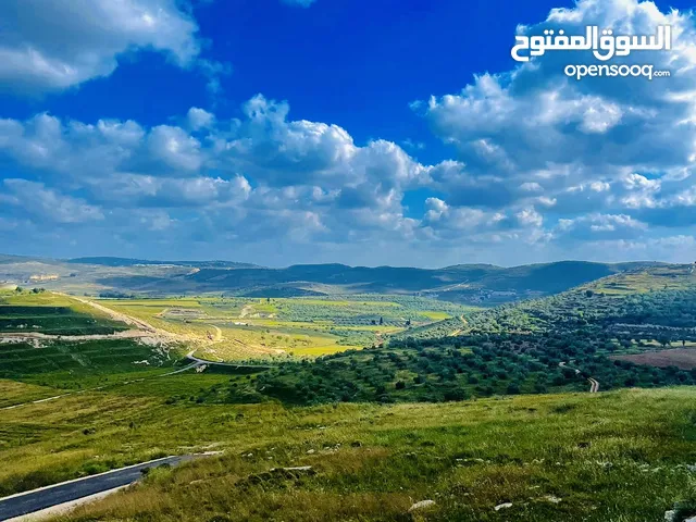 Commercial Land for Sale in Nablus Burqa