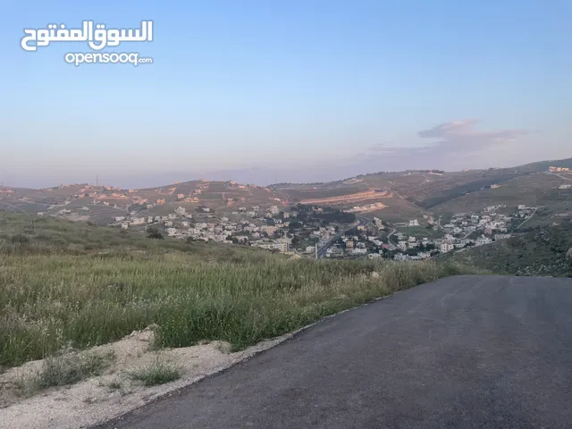 Residential Land for Sale in Zarqa Birayn