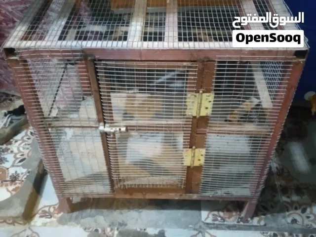 قفص حديد .
