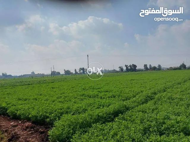 عماره للبيع بمحافظه الفيوم ، مصر