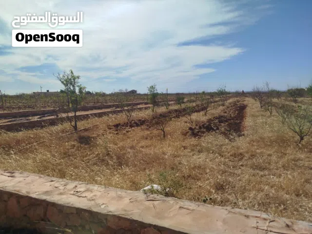 Residential Land for Sale in Benghazi Sidi Khalifa