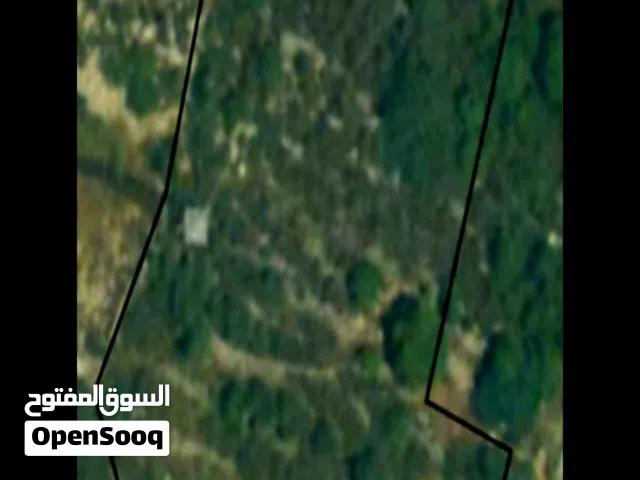 Residential Land for Sale in Chouf Barja