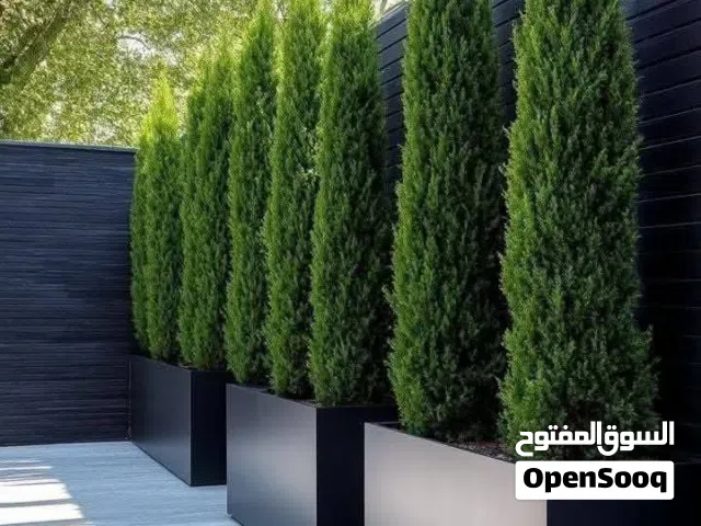 تصميم حدائق