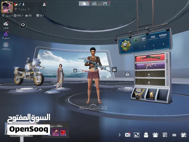 Pubg Accounts and Characters for Sale in Amman
