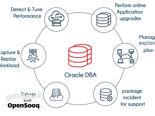 قواعد بيانات اوراكل  Oracle DBA