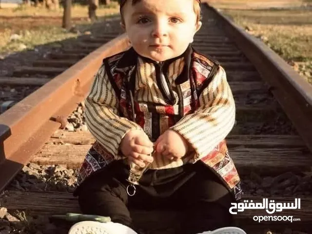 طارق الزواهره