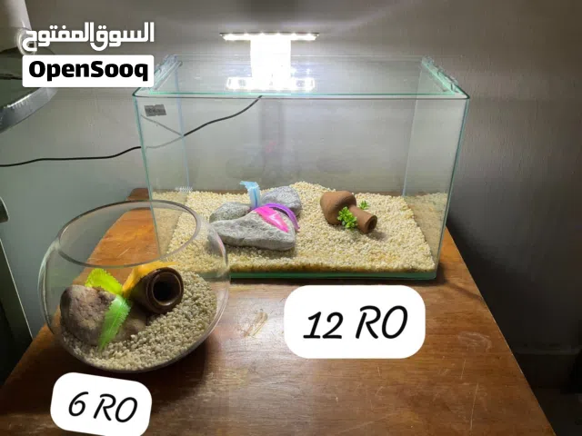 حوض سمك ذو زوايا مشطوفة