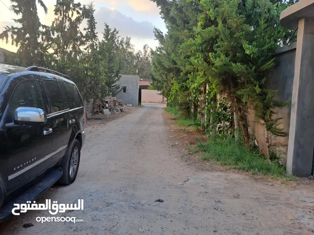 استراحة بوادي الربيع المظل بشارع المشاتل