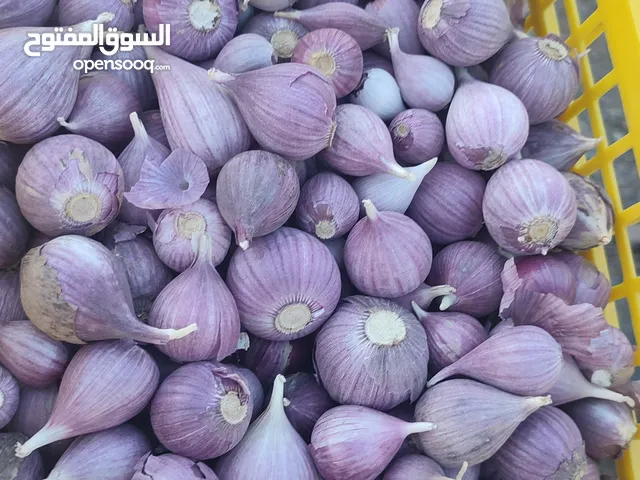 ثوم الجبل الاخضر
