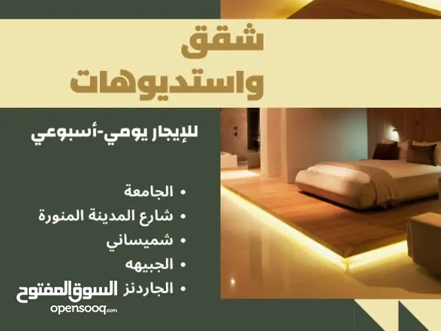 Furnished Daily in Jerusalem Abu Dis