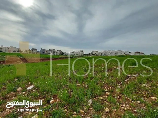 Residential Land for Sale in Amman Rajm Amesh