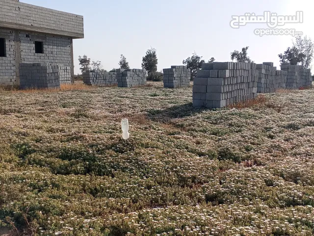 الارض للبيع في طمينه طريق المعصره