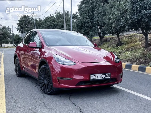 Tesla Model Y Dual Motor 2020
