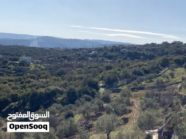 ارض للبيع في السلط