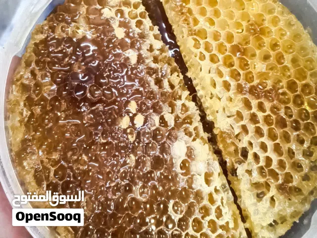 عسل سدر ممتاز جداً بارك الله