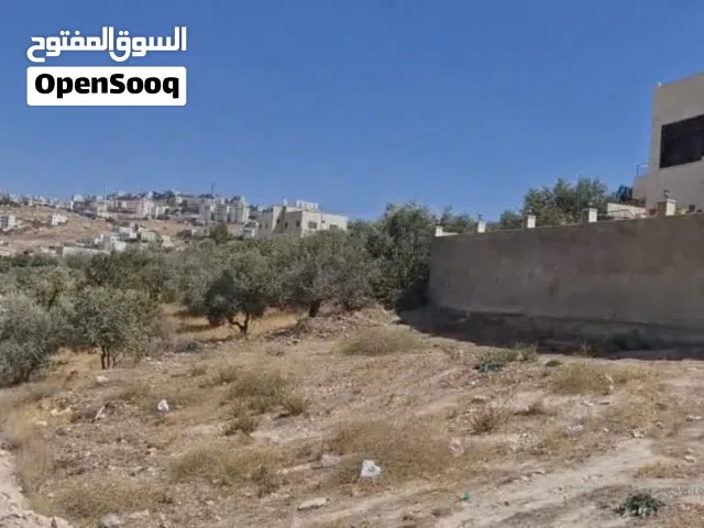 أرض مميزة مع إطلالة للبيع 950 م مرج الحمام البحاث سكن أ مناسبة لفيلا لقطة