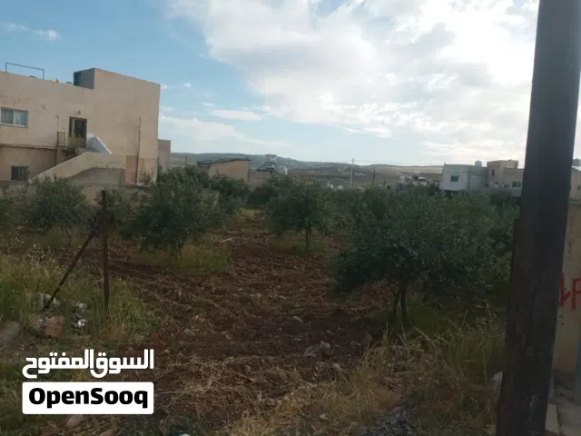Residential Land for Sale in Irbid Kitim