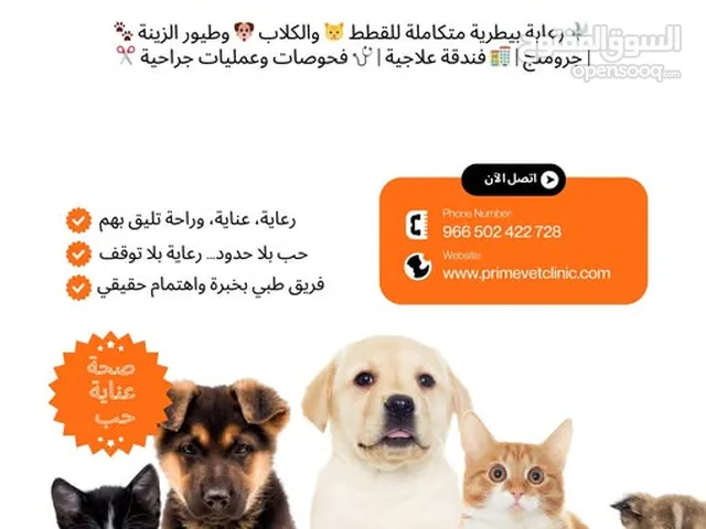 Prime Vet Clinic عيادة وسام القمة البيطرية