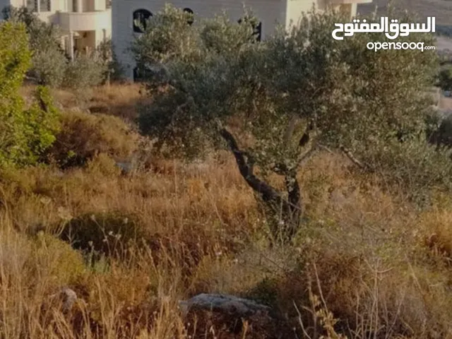 قطعة ارض مميزة للبيع في قراوة بني زيد تقع على شارع فرعي طابو تصنيف الف من المالك مباشرة