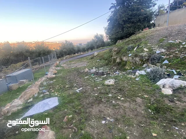 Residential Land for Sale in Ajloun Sakhra