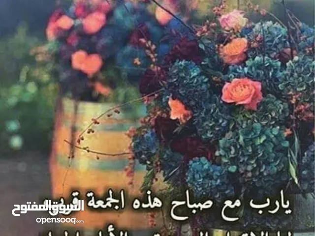 نضال الخلايله