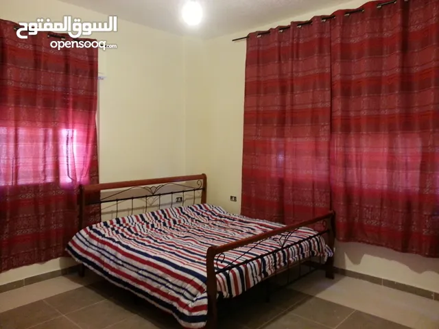 45m2 Studio Apartments for Rent in Amman 7th Circle