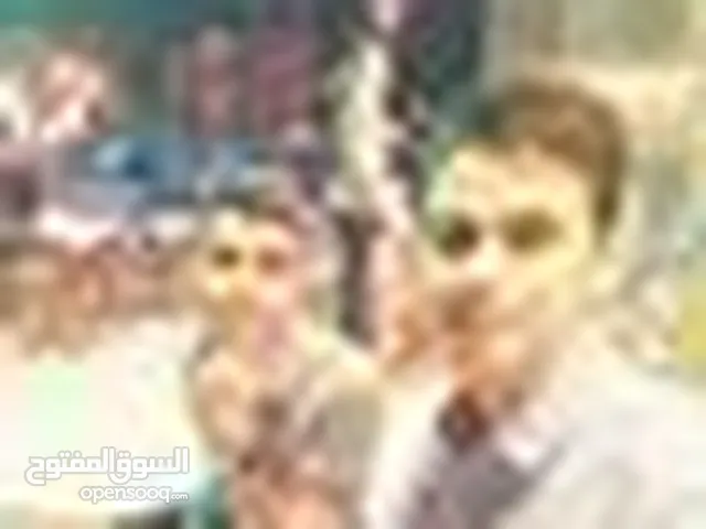 Mohammed Alseelawi