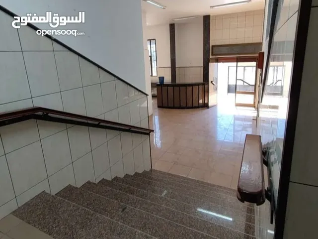 مبناء للايجار النوفليين وسعاية البديري