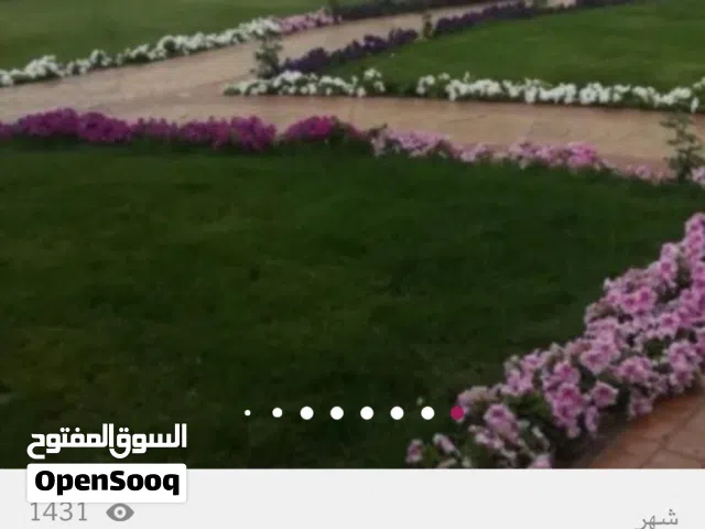 مزارع ومنسق حدائق وعمل الصيانة الشهرية