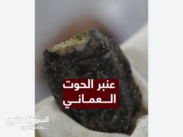 عنبر طبيعي للبيع وجاهز للفحص