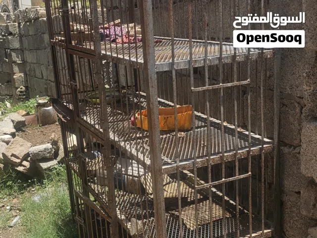 شبك دجاج حديد قوي شبه جديد مع مذبحه