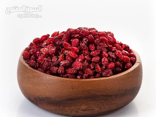 بيع البرباريس الايرانية
