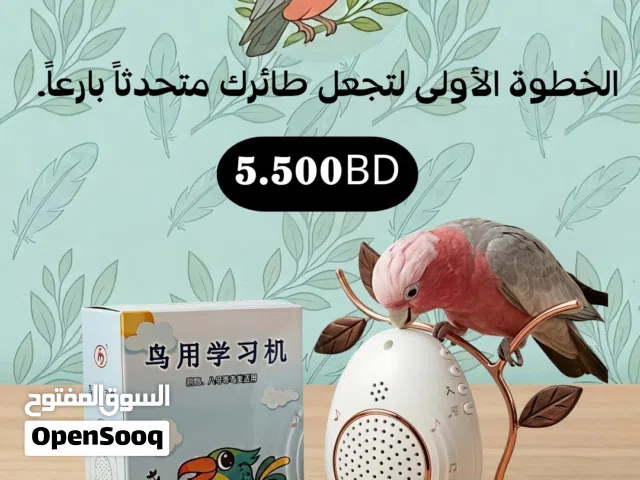 جهاز التسجيل لتعليم الطيور