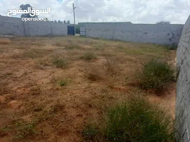 Residential Land for Sale in Tripoli Al-Baesh