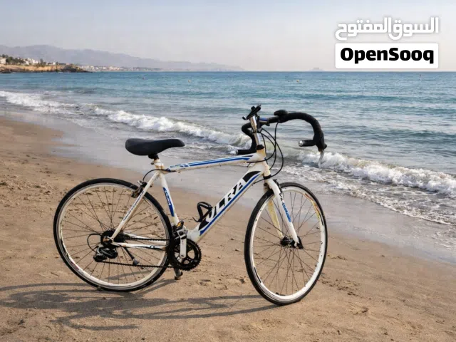 سيكل رقم 20 للكبار