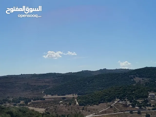 Mixed Use Land for Sale in Ajloun I'bbeen