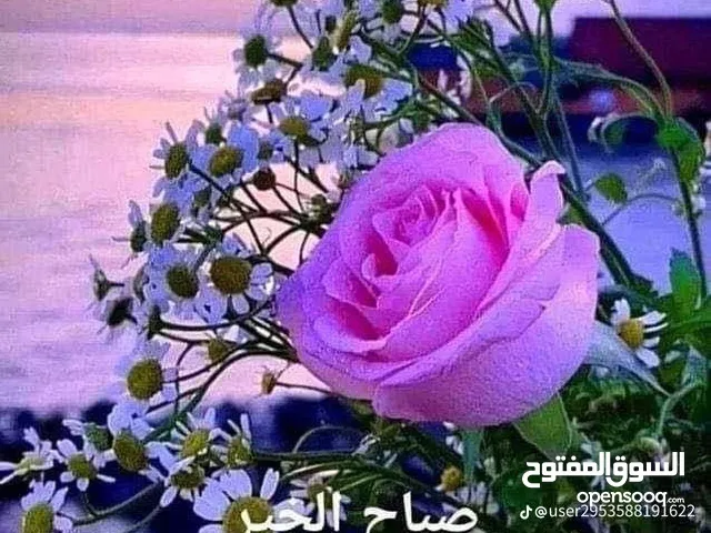 توجد لدينا ورشة لحام وحماده متنقله