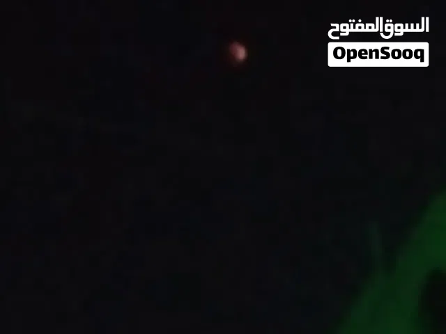 2 ثلاجات 1  فريزر  2  مواطير3 كيلو    5  تلفزيونات