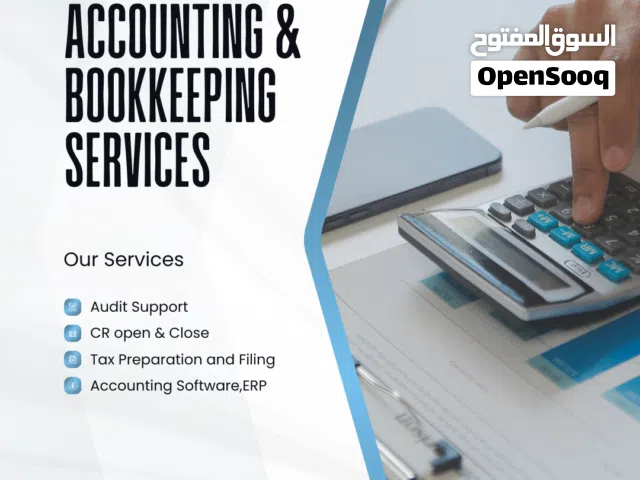 Audit And Accounting Software