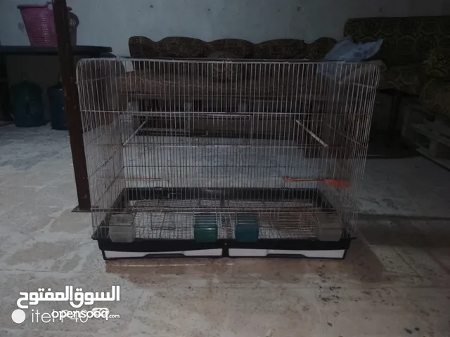 مطير للبيع