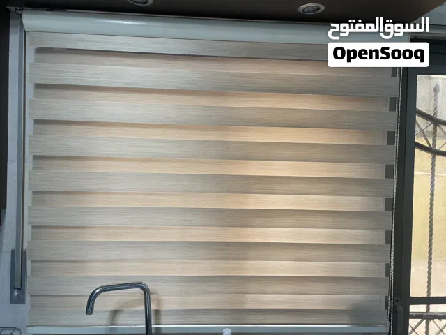 برادي زيبرا