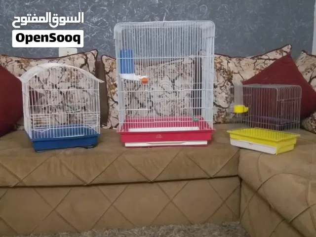 اللهم بارك البيع معاه بعض يعني كالهم با 100