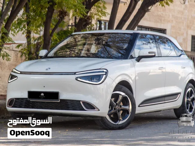 Dongfeng Nammi box  2023 (430 km بالشحنة)