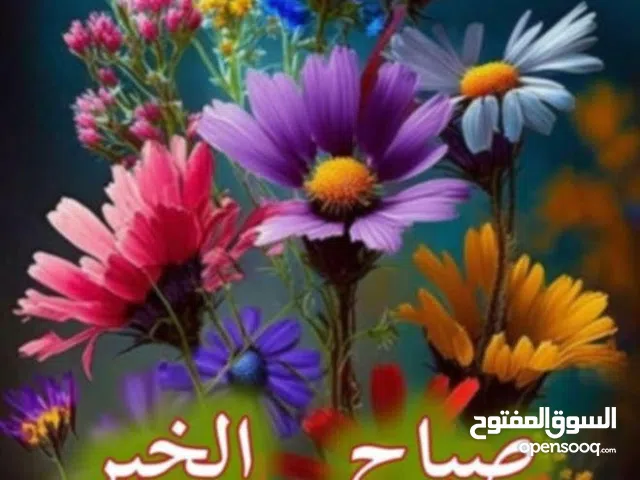 بدروم +جراج