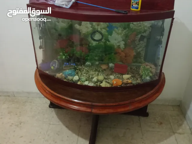 حوض سمك كبير مع طاولة.