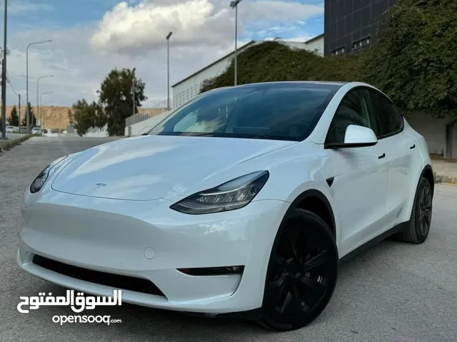 Model y 2021